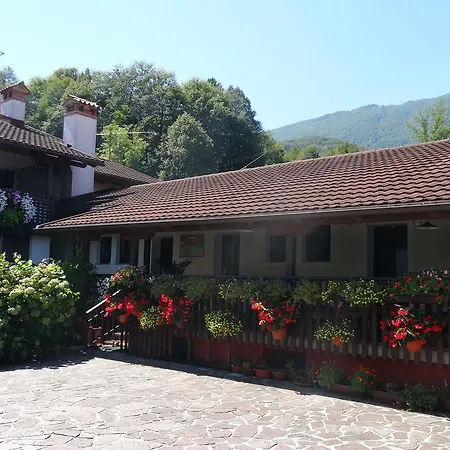 Bed and Breakfast Sobe Jazbec