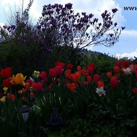 Sobe Jazbec Bed & Breakfast Idrsko